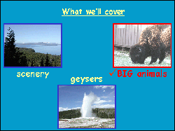 Sample good moving blueprint slide for presentation on Yellowstone National Park